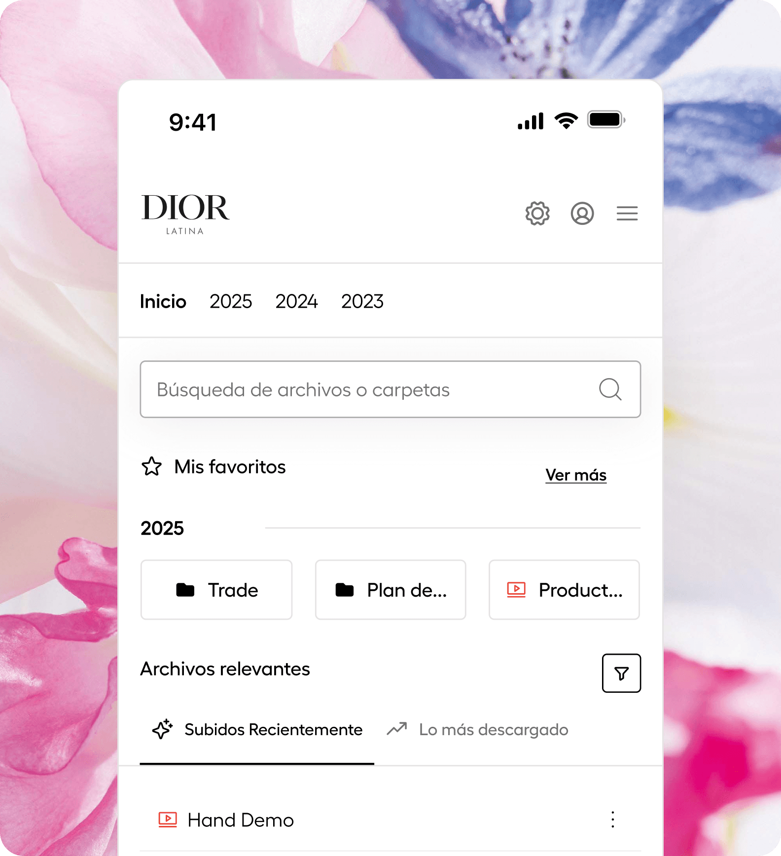 Dior LatAm repository redesign